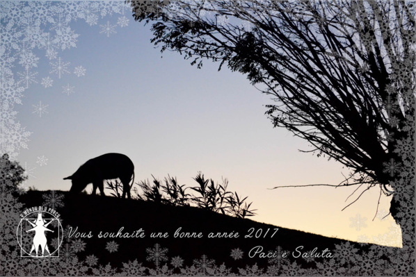 Paci è Saluta, très bonne et heureuse année 2017 !