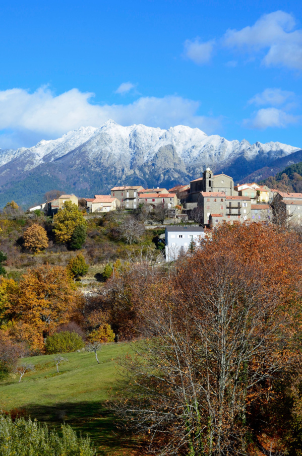 Visitez le village de Cozzano