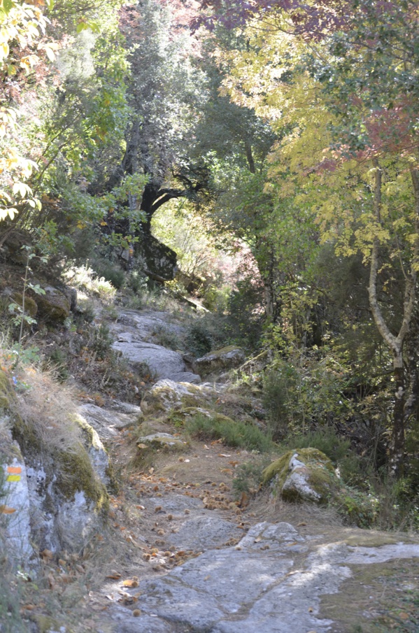 Visitez le village de Cozzano