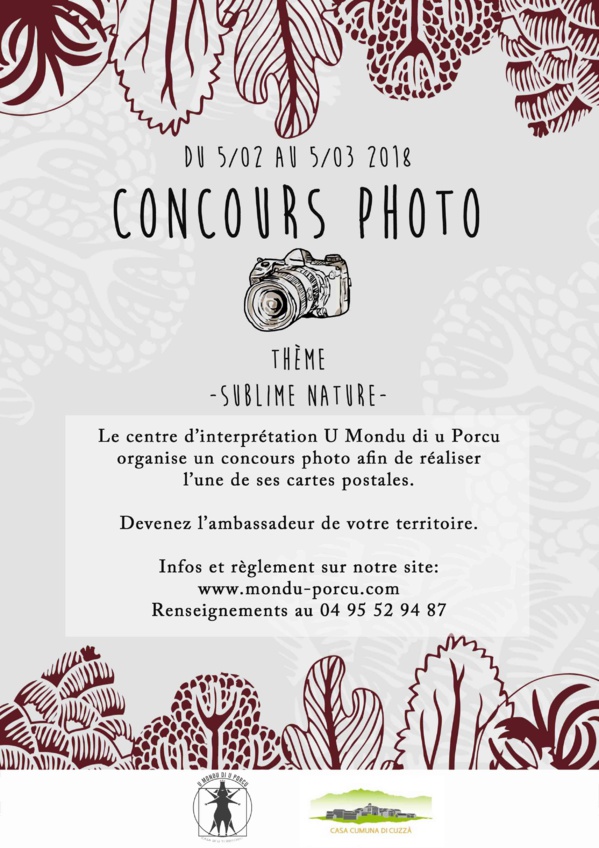 Concours Photo Concours Photo