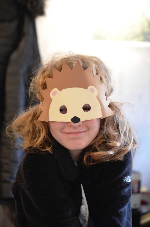 Masques de carnaval 