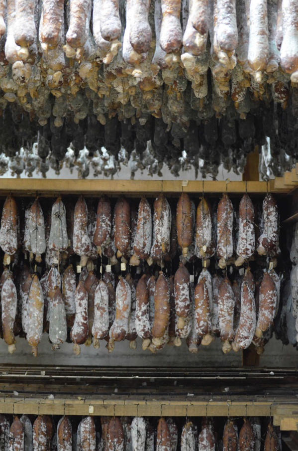 A la rencontre des producteurs A la rencontre des producteurs