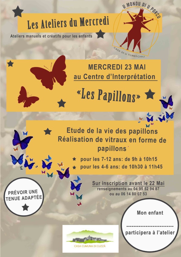 Atelier sur les papillons le 23 mai 