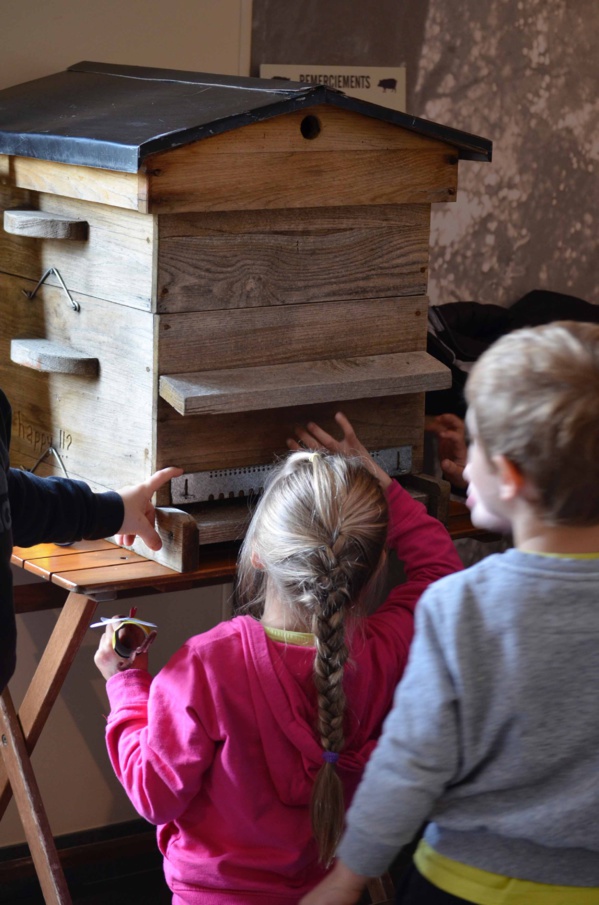 A la rencontre des abeilles