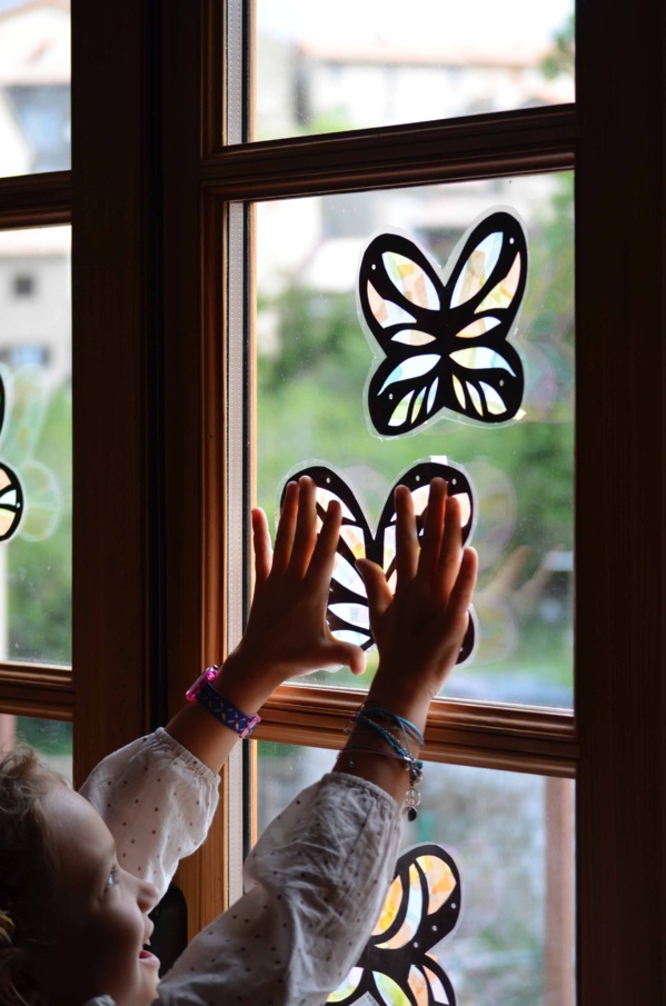 Des papillons plein les yeux