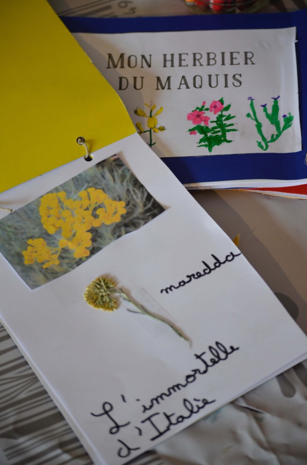 L'herbier du maquis