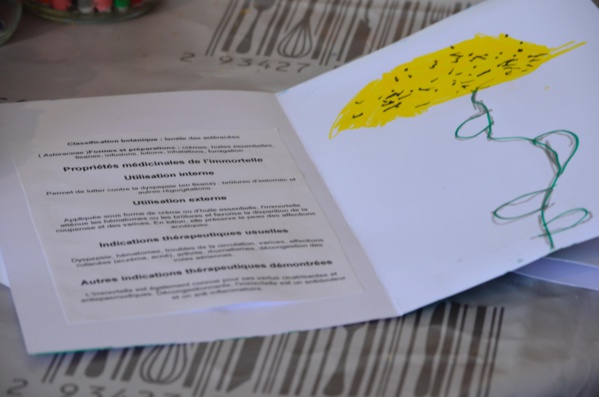 A Maredda A Maredda