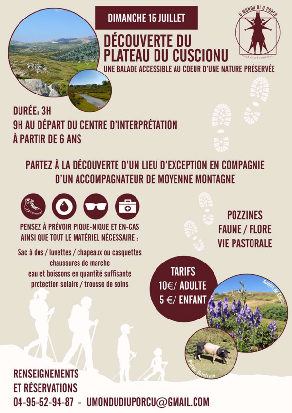 Partez à la découverte du plateau du Cuscionu