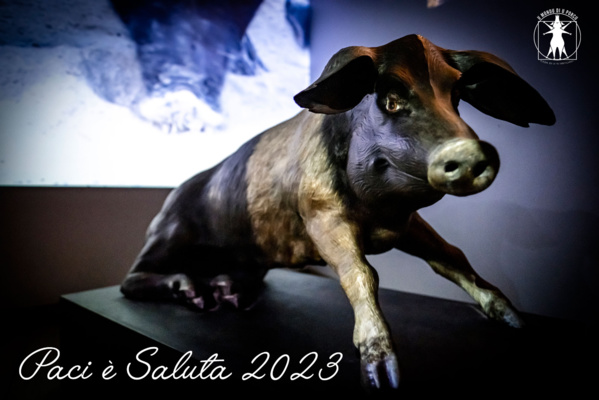 Paci è Saluta 2023