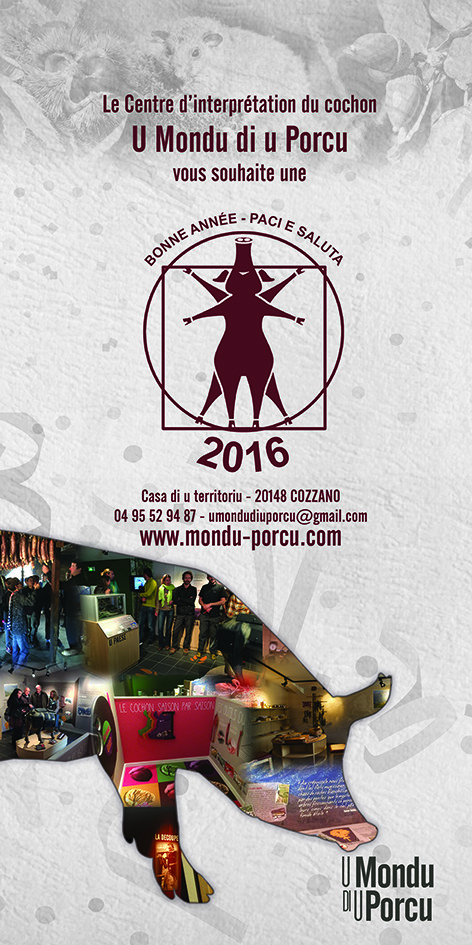 BONNE ANNEE 2016