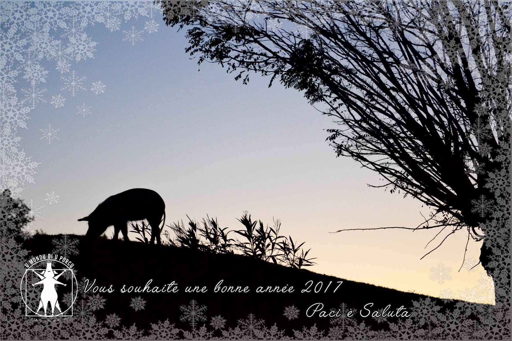 Paci è Saluta, très bonne et heureuse année 2017 !