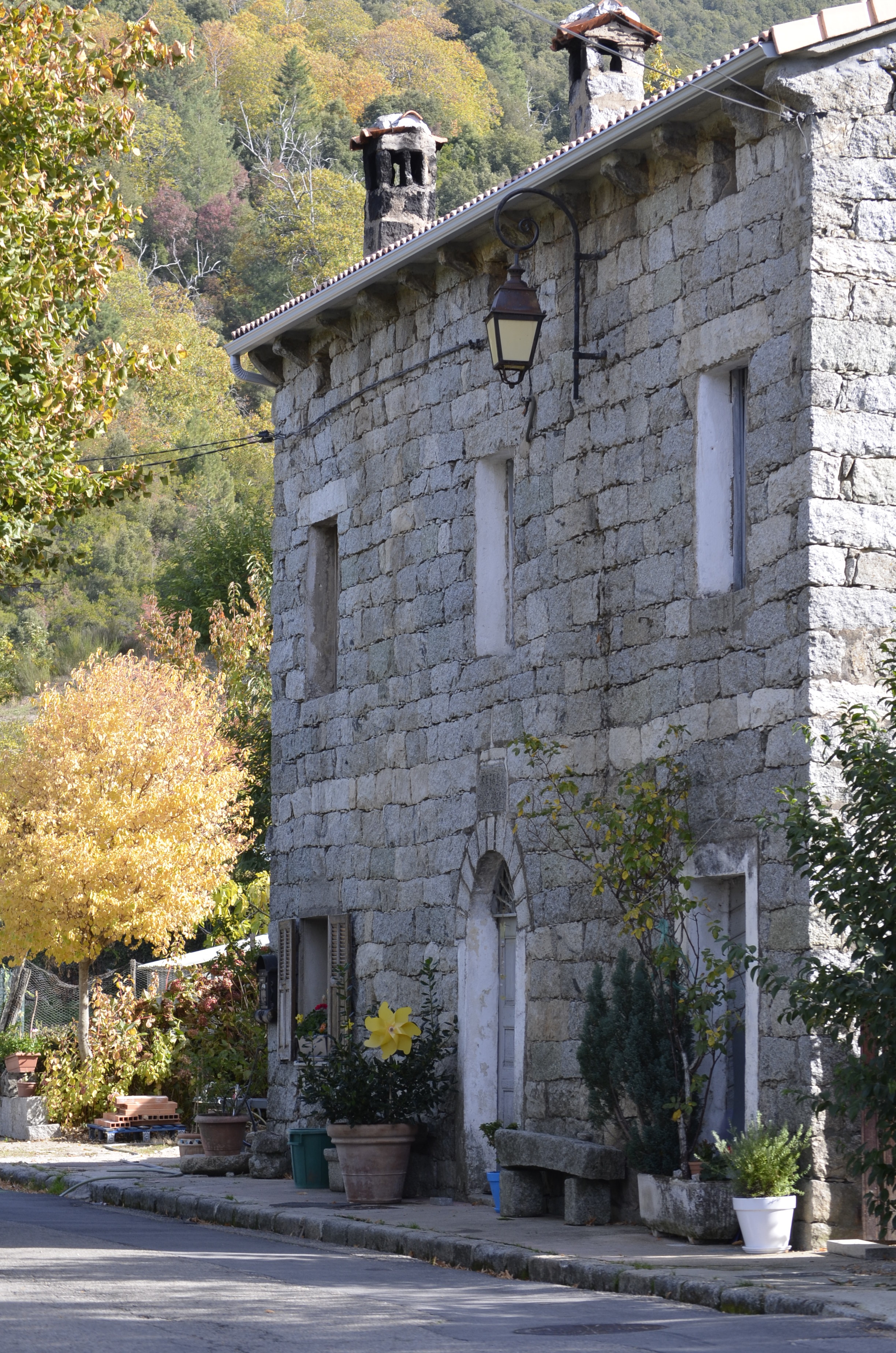 Visitez le village de Cozzano