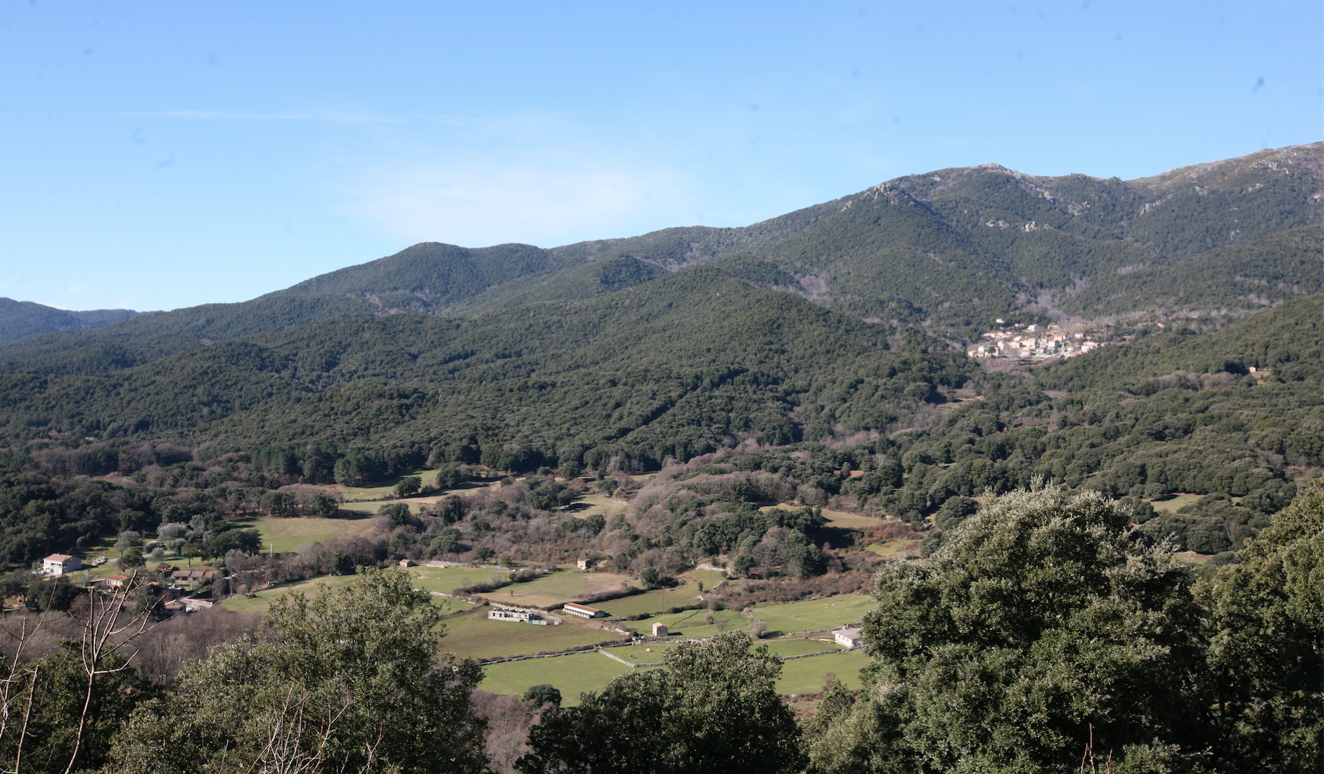 CASA CUMUNA DI VUTERA