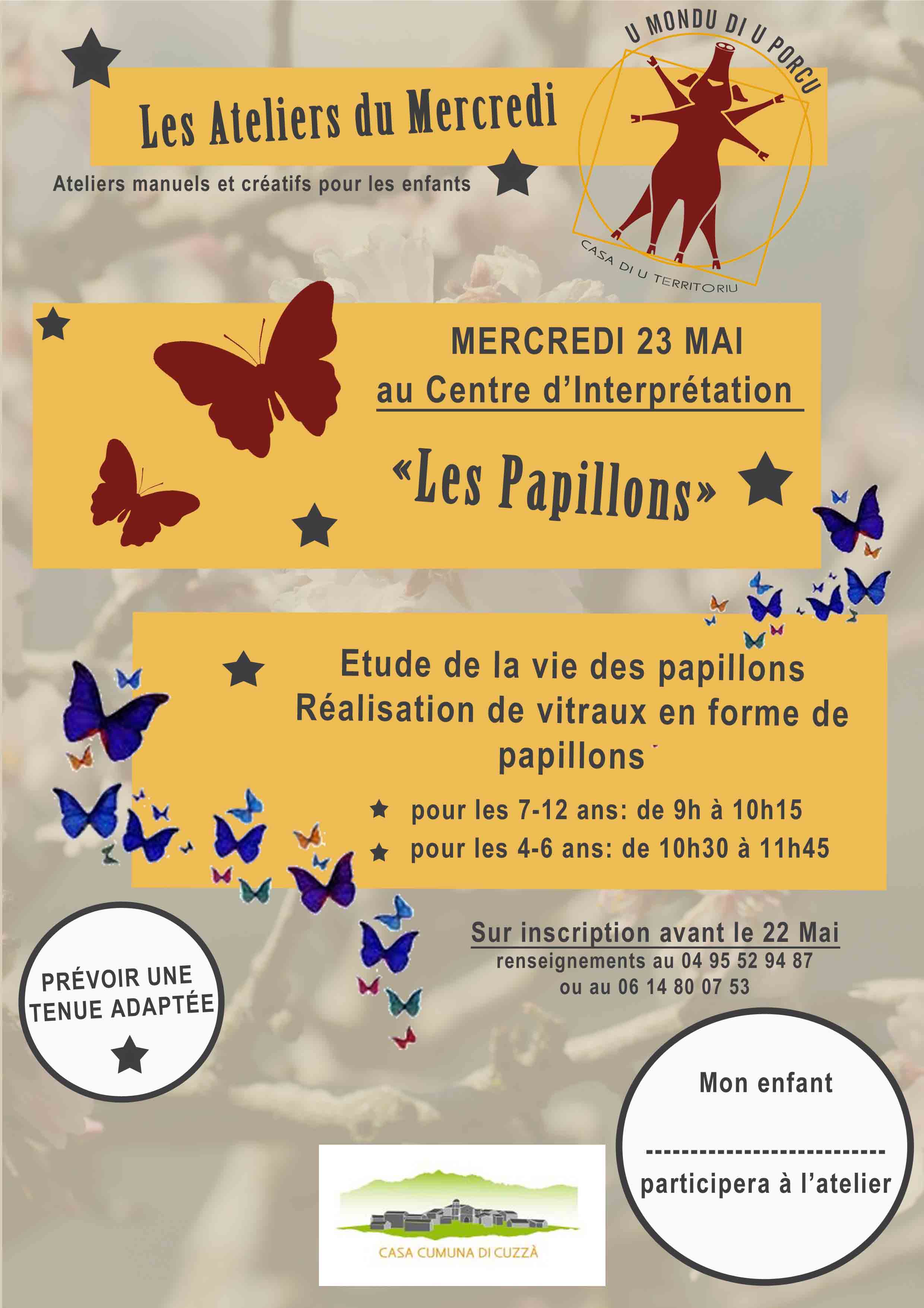Atelier sur les papillons le 23 mai 