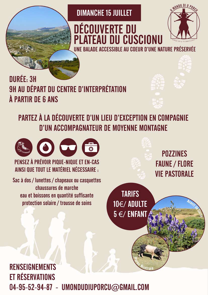 Partez à la découverte du plateau du Cuscionu