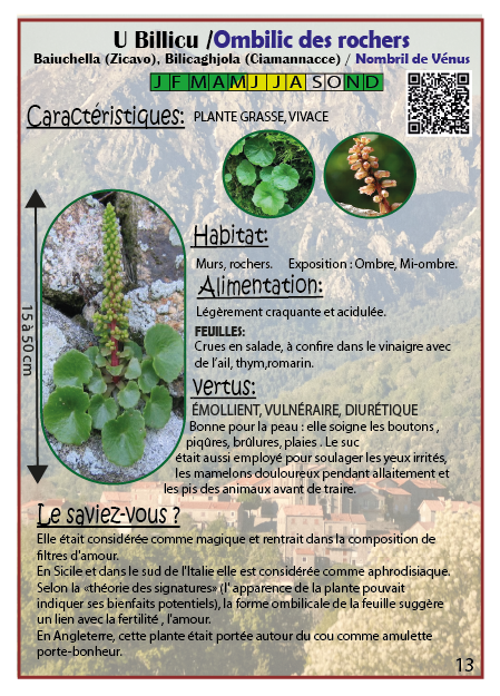 U Sbillicu, A Baiuchedda, A Bilicaghjola ,L'Arba Fratesca/ Ombilic des rochers, Nombril de Vénus