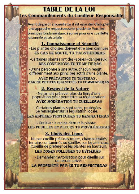 Table de la loi