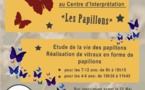 Atelier sur les papillons le 23 mai 