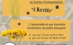 A Maredda - l'Immortelle