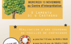 Les ateliers du mois de novembre